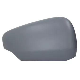 Revêtement, rétroviseur extérieur BLIC 6103-02-2435313P