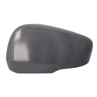 Revêtement, rétroviseur extérieur BLIC 6103-02-2435314P