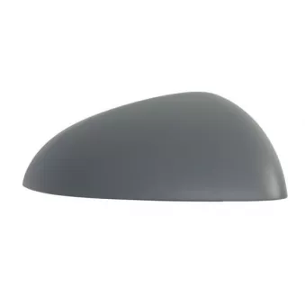 Revêtement, rétroviseur extérieur BLIC 6103-02-2475311P