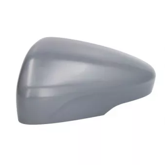Revêtement, rétroviseur extérieur BLIC 6103-03-2152310P pour FORD FOCUS 1.5 Ti-VCT - 123cv