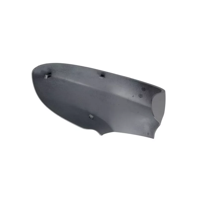 Revêtement, rétroviseur extérieur BLIC 6103-04-1103310P - Visuel 1