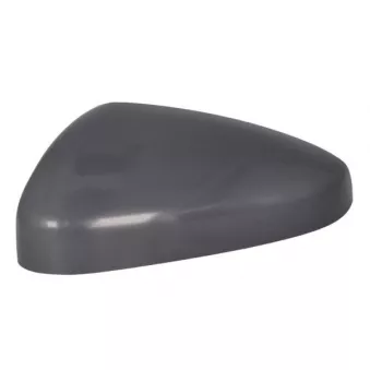 Revêtement, rétroviseur extérieur BLIC 6103-04-2304310P