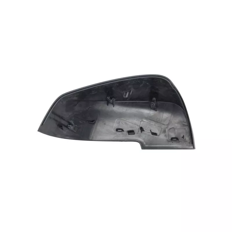 Revêtement, rétroviseur extérieur BLIC 6103-05-0081310P - Visuel 1