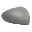 Revêtement, rétroviseur extérieur BLIC [6103-07-0354311P]