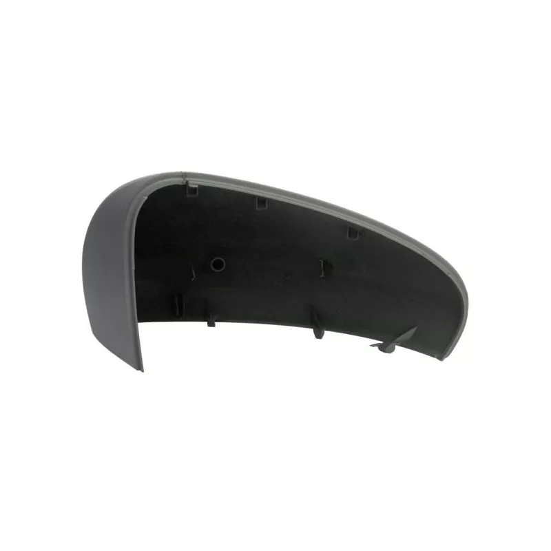 Revêtement, rétroviseur extérieur BLIC 6103-07-0354311P - Visuel 1
