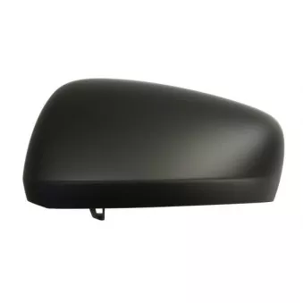 Revêtement, rétroviseur extérieur BLIC OEM 963732210R