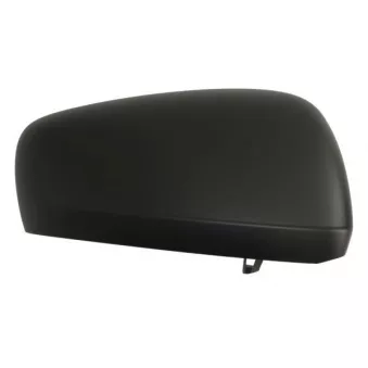 Revêtement, rétroviseur extérieur BLIC 6103-09-1241311P