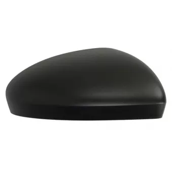 Revêtement, rétroviseur extérieur BLIC OEM 963749535R
