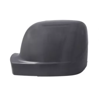 Revêtement, rétroviseur extérieur BLIC 6103-09-2476310P