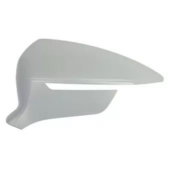 Revêtement, rétroviseur extérieur BLIC OEM 575857521A