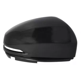 Revêtement, rétroviseur extérieur BLIC 6103-12-0499311P