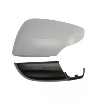 Revêtement, rétroviseur extérieur BLIC OEM 91059VA030