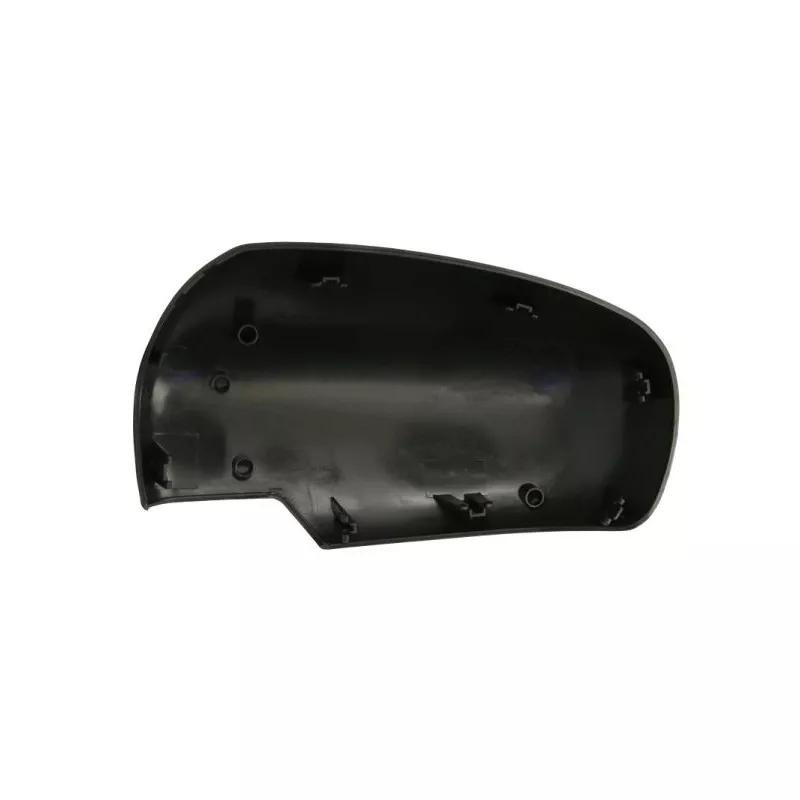 Revêtement, rétroviseur extérieur BLIC 6103-18-1384311P - Visuel 1