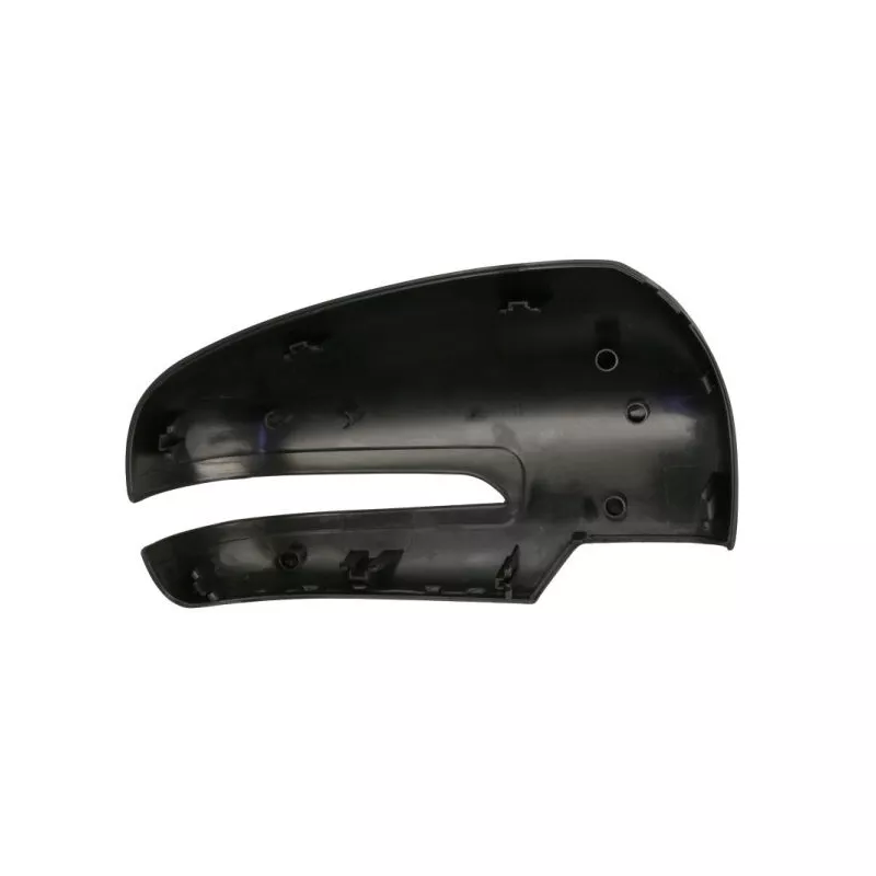 Revêtement, rétroviseur extérieur BLIC 6103-18-1384314P - Visuel 1