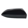 Revêtement, rétroviseur extérieur BLIC [6103-19-2176311P]