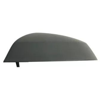 Revêtement, rétroviseur extérieur BLIC OEM 4M0857527GRU