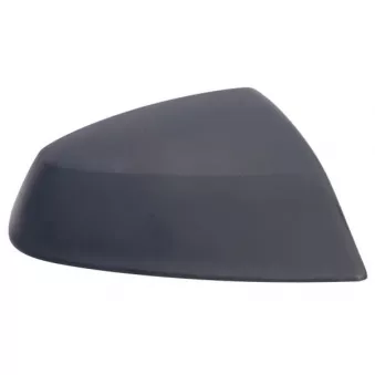 Revêtement, rétroviseur extérieur BLIC OEM 4M0857528GRU