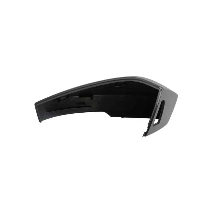 Revêtement, rétroviseur extérieur BLIC 6103-43-2343314P - Visuel 1