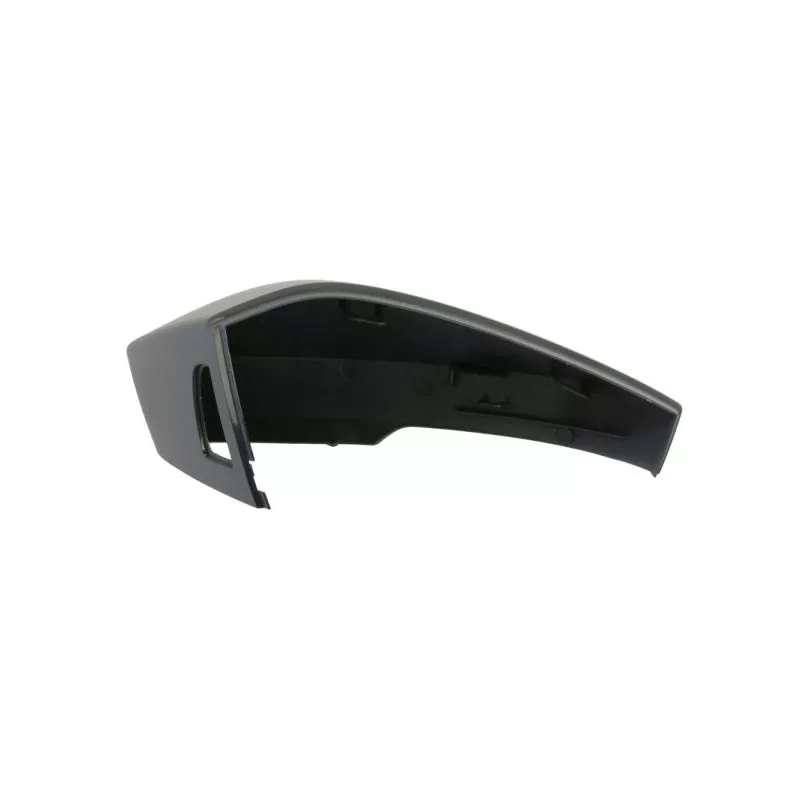 Revêtement, rétroviseur extérieur BLIC 6103-43-2343315P - Visuel 1