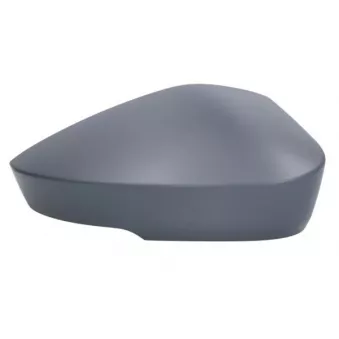 Revêtement, rétroviseur extérieur BLIC 6103-43-2355311P