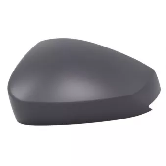 Revêtement, rétroviseur extérieur BLIC 6103-43-2557314P pour SKODA FABIA 1,5 TSI - 150cv