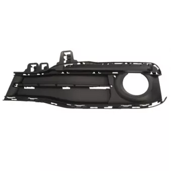 Baguette et bande protectrice, grille de radiateur avant gauche BLIC 6502-07-0063915SP