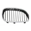 BLIC 6502-07-0066994P - Grille de radiateur avant droit