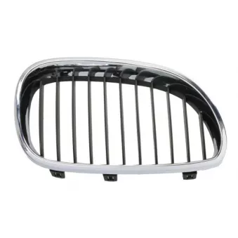 BLIC 6502-07-0066994P - Grille de radiateur avant droit