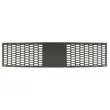 BLIC 6502-07-0067910MP - Grille de ventilation, pare-chocs