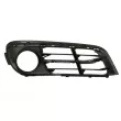 BLIC 6502-07-0067925P - Grille de ventilation, pare-chocs