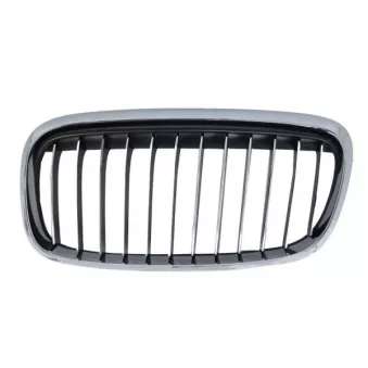 BLIC 6502-07-0071997LP - Grille de radiateur avant gauche 