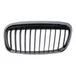 BLIC 6502-07-0071997SP - Grille de radiateur avant gauche 