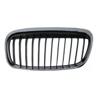 BLIC 6502-07-0071997SP - Grille de radiateur avant gauche 