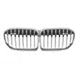 BLIC 6502-07-0079991P - Grille de radiateur