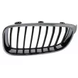 BLIC 6502-07-0081991GP - Grille de radiateur avant gauche