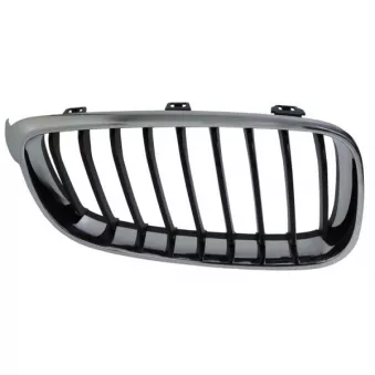 Grille de radiateur avant droit BLIC 6502-07-0081992GP