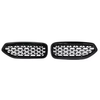 BLIC 6502-07-0089999P - Grille de radiateur 