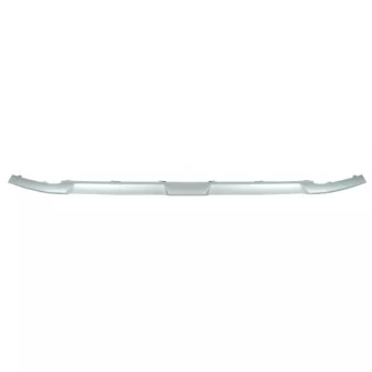 Baguette et bande protectrice, pare-chocs avant gauche BLIC 6502-07-0098920P