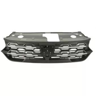 Grille de radiateur BLIC 6502-07-1307991P