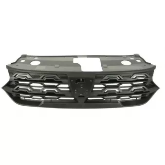 Grille de radiateur BLIC 6502-07-1307992P