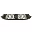 BLIC 6502-07-2030991P - Grille de radiateur