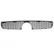 Grille de radiateur BLIC [6502-07-2043990P]