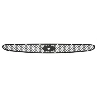 Grille de radiateur BLIC 6502-07-2505990P