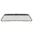 BLIC 6502-07-2533999P - Grille de ventilation, pare-chocs