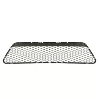 BLIC 6502-07-2533999P - Grille de ventilation, pare-chocs