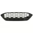 BLIC 6502-07-2537993P - Grille de radiateur