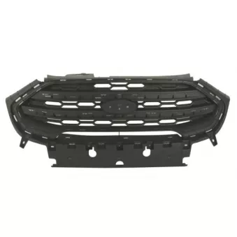 Grille de radiateur BLIC 6502-07-2588995P