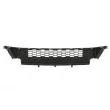 BLIC 6502-07-2596990P - Grille de radiateur