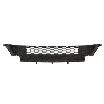 Grille de radiateur BLIC 6502-07-2596990P