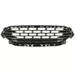 BLIC 6502-07-2596991P - Grille de radiateur